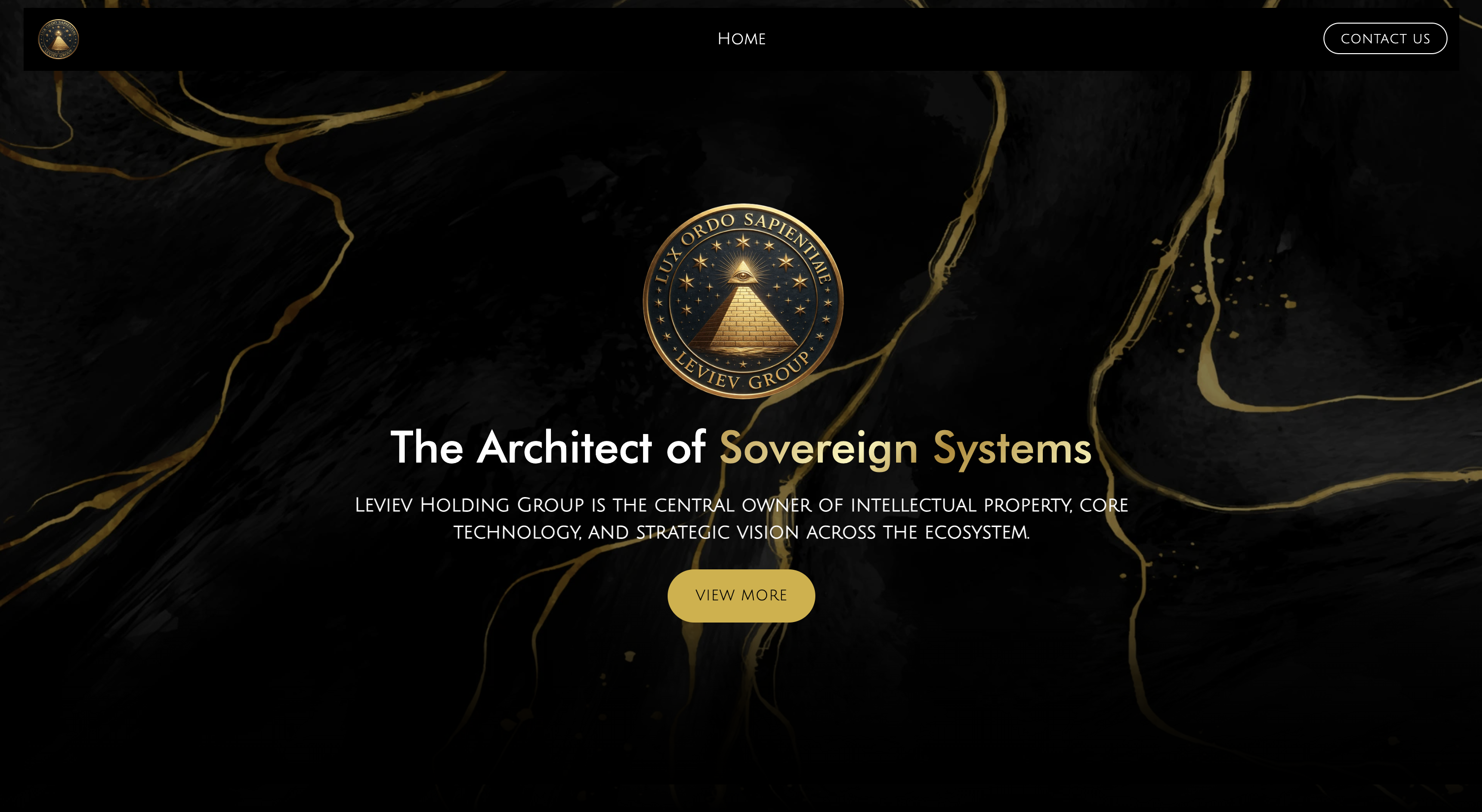Development Leviev by United Of Web Design NYC