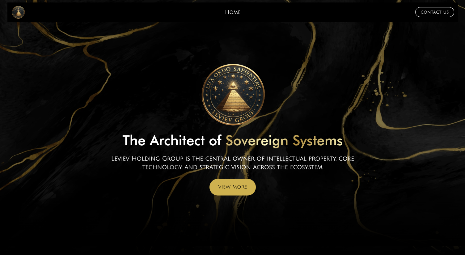 United Of Web Portfolio projet name Leviev