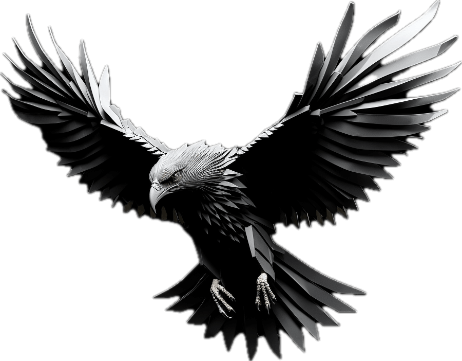 Hawk Art United Of Web Web Design NYC